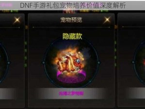 DNF手游礼包宠物培养价值深度解析