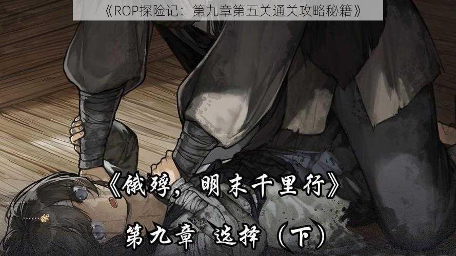 《ROP探险记：第九章第五关通关攻略秘籍》