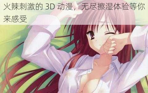 火辣刺激的 3D 动漫，无尽擦湿体验等你来感受