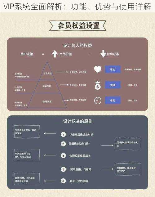 VIP系统全面解析：功能、优势与使用详解