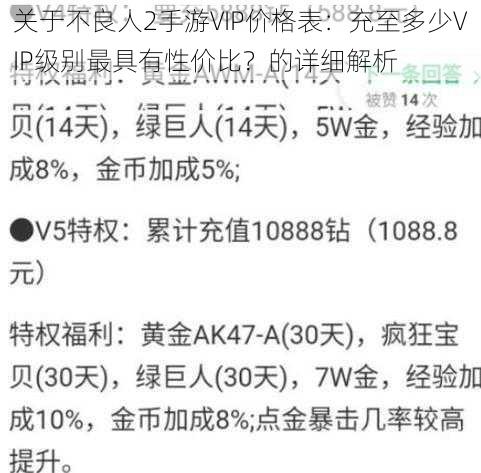 关于不良人2手游VIP价格表：充至多少VIP级别最具有性价比？的详细解析