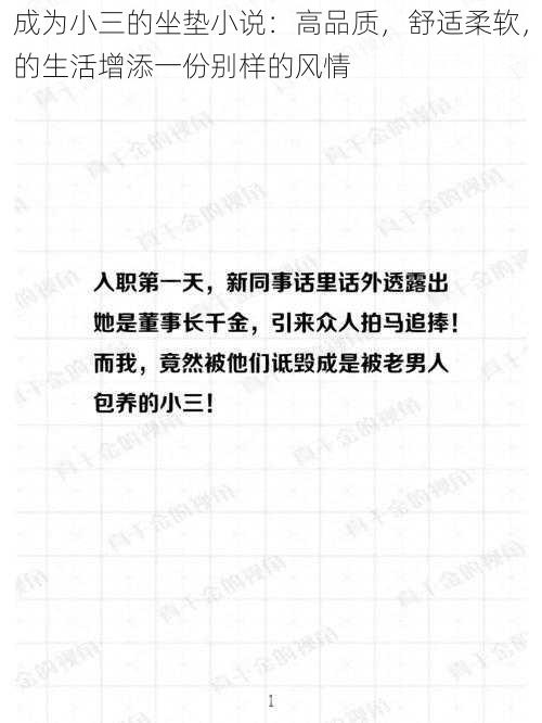 成为小三的坐垫小说：高品质，舒适柔软，的生活增添一份别样的风情